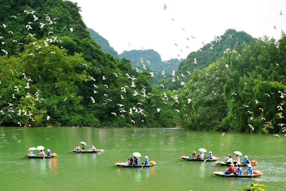 Parc ornithologique Thung Nham à Ninh Binh